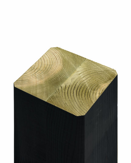 Verleimte Holzpfosten 9×9 cm zum Eingraben.
Druckimprägniert (NTR-Klasse A) und farbgrundiert schwarz.
Schwarz RAL 9005 – wasserbasiert.