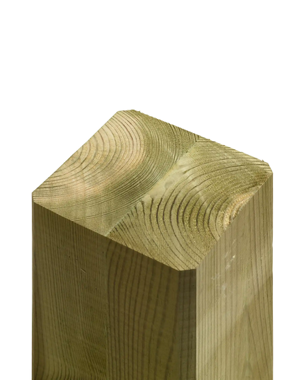 Druckimprägnierter Holzpfosten mit sichtbarer Holzmaserung für das Outdoor Fitness Trainingsgestell Modell 3.